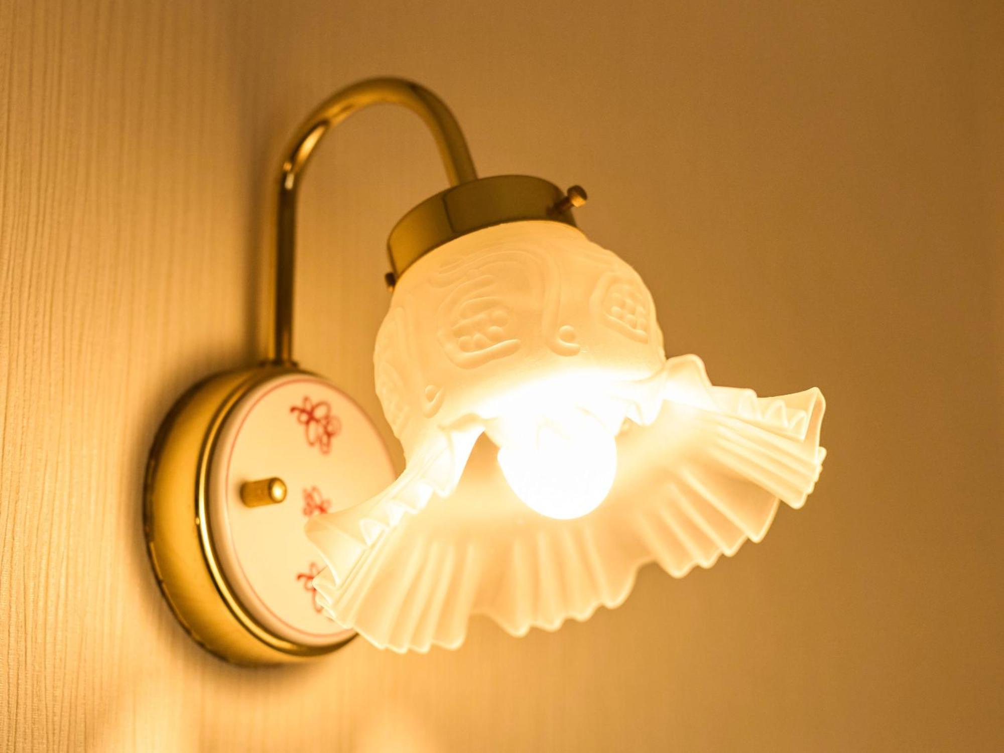 Minakuchi Century Hotel Koka Room photo